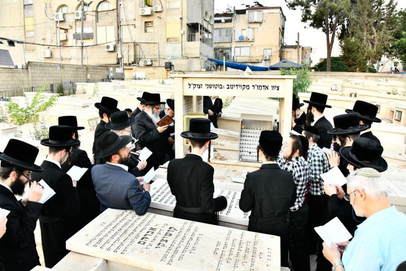 שוקי לרר