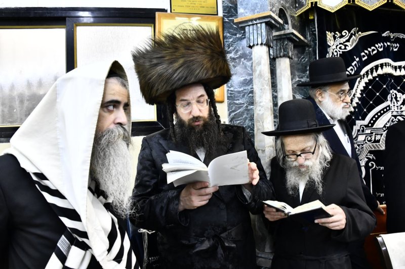 שוקי לרר