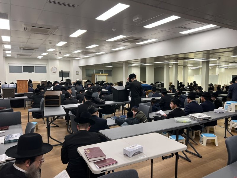 באדיבות המצלם