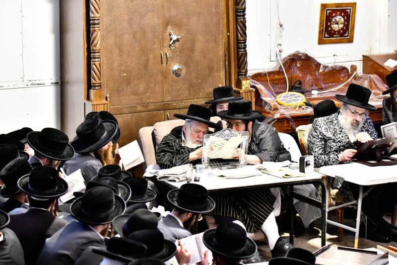 שוקי לרר