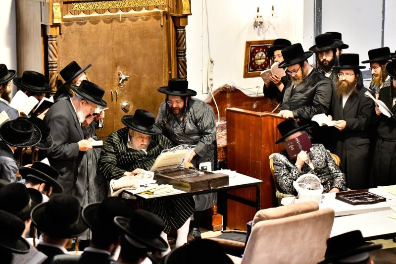 שוקי לרר