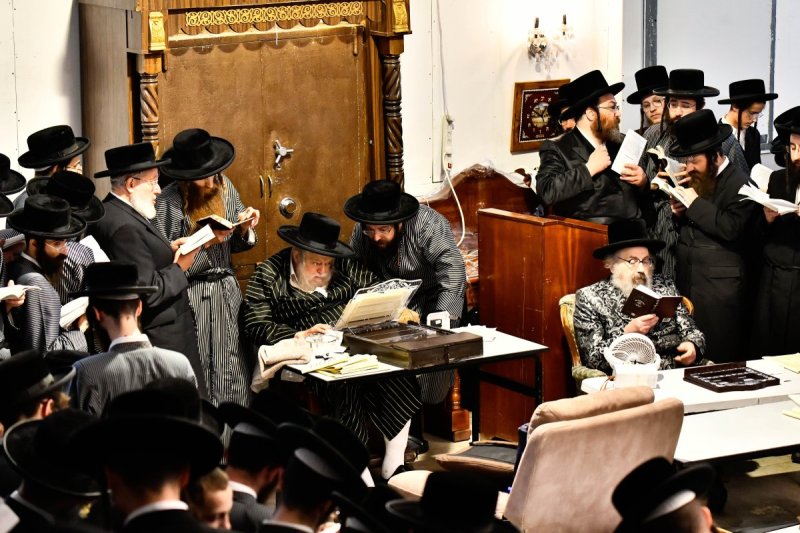 שוקי לרר