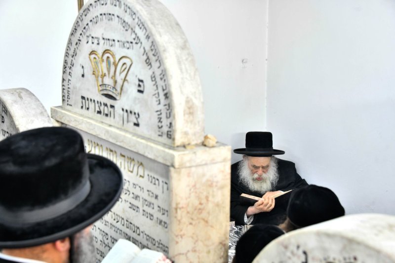 שוקי לרר