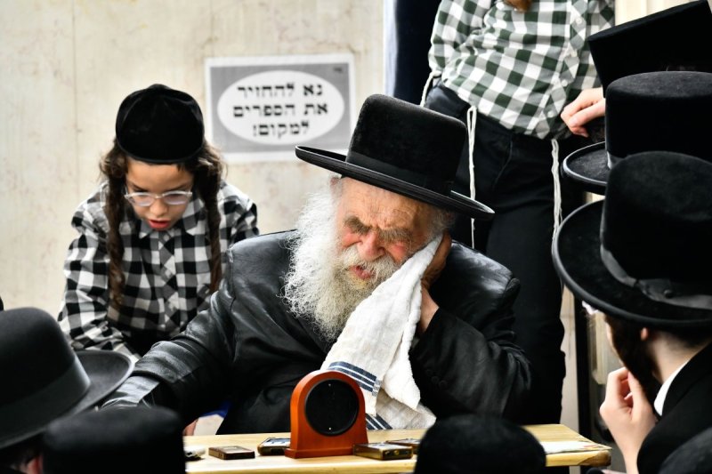שוקי לרר