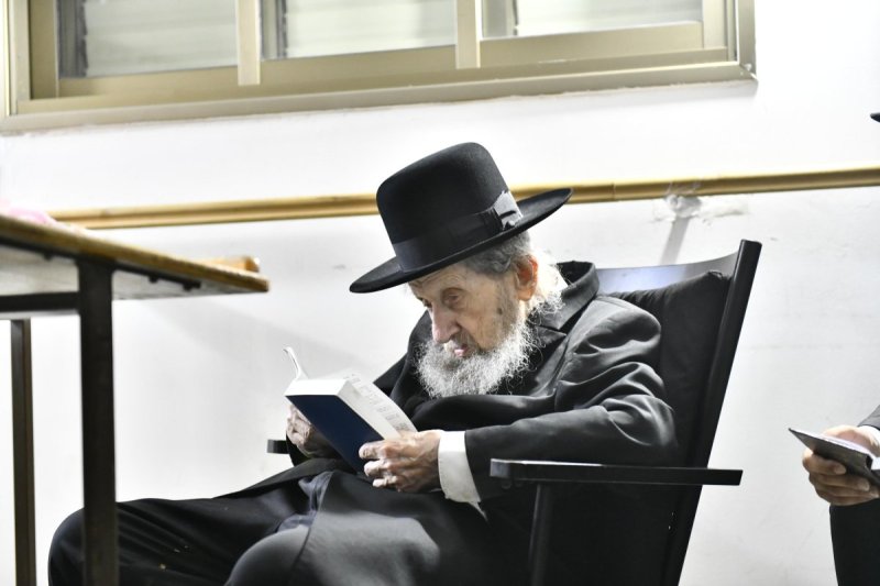 שוקי לרר