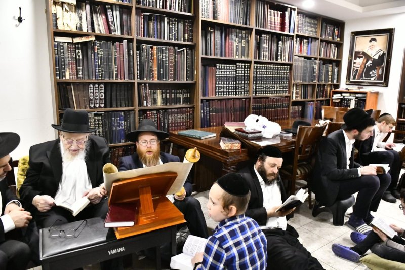 שוקי לרר