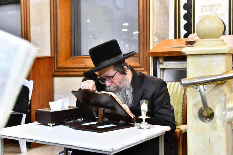 שוקי לרר