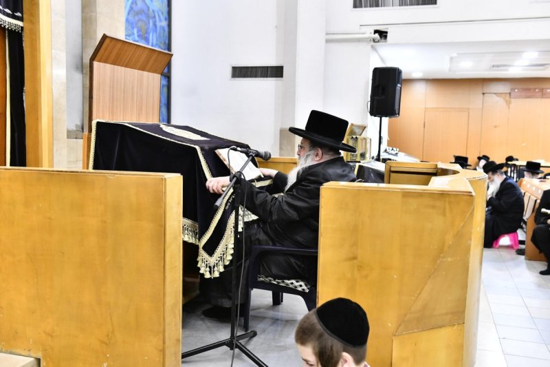 שוקי לרר