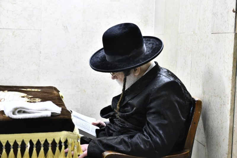 שוקי לרר