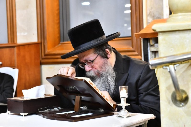 שוקי לרר
