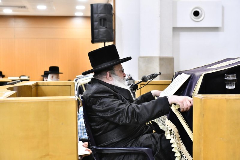 שוקי לרר