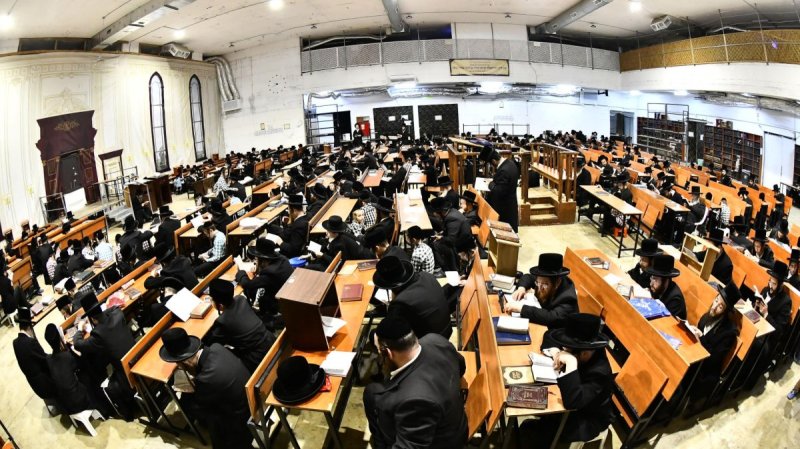 שוקי לרר