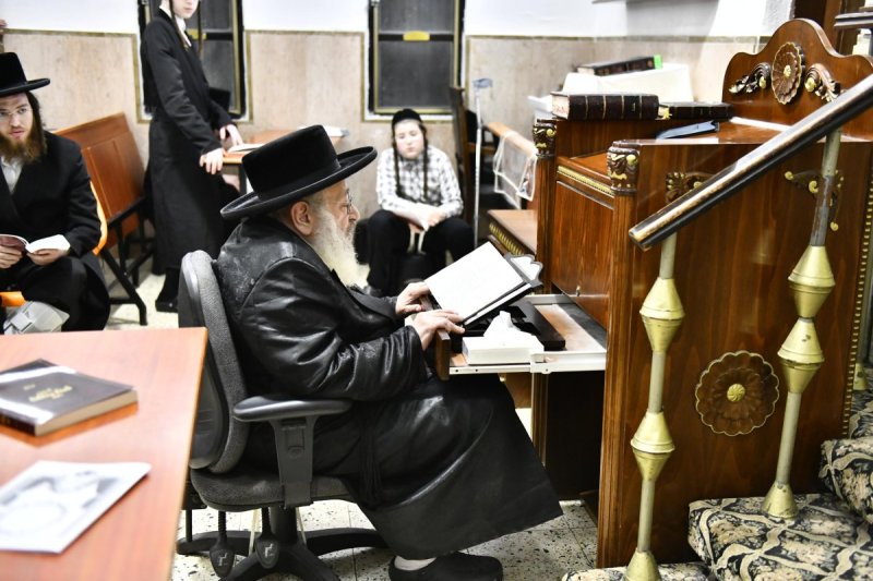 שוקי לרר