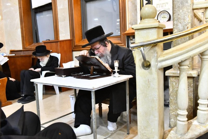 שוקי לרר