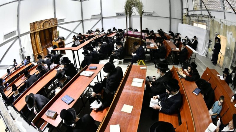שוקי לרר