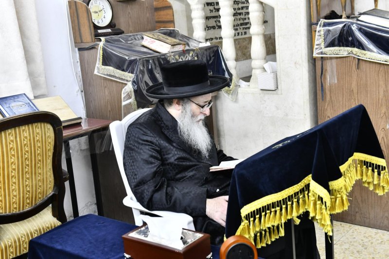 שוקי לרר