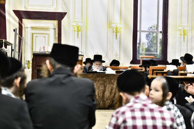 שוקי לרר