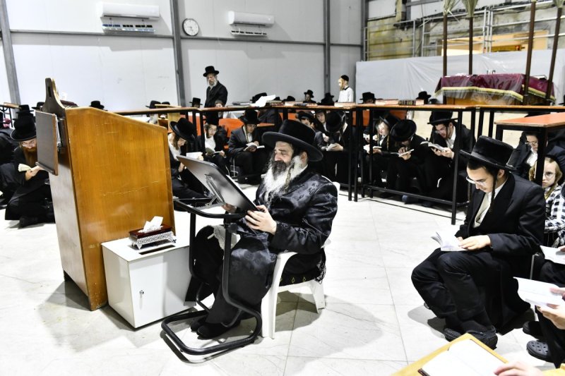 שוקי לרר