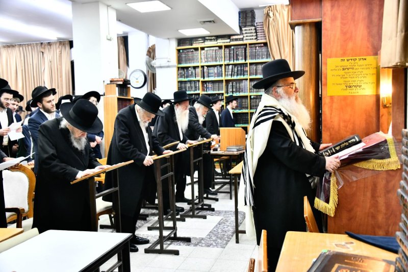 שוקי לרר
