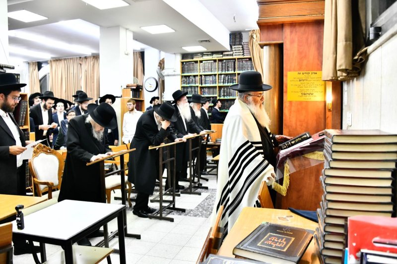 שוקי לרר
