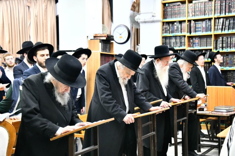 שוקי לרר