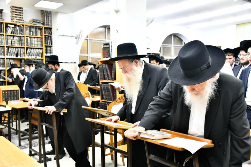 שוקי לרר