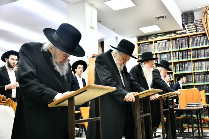 שוקי לרר