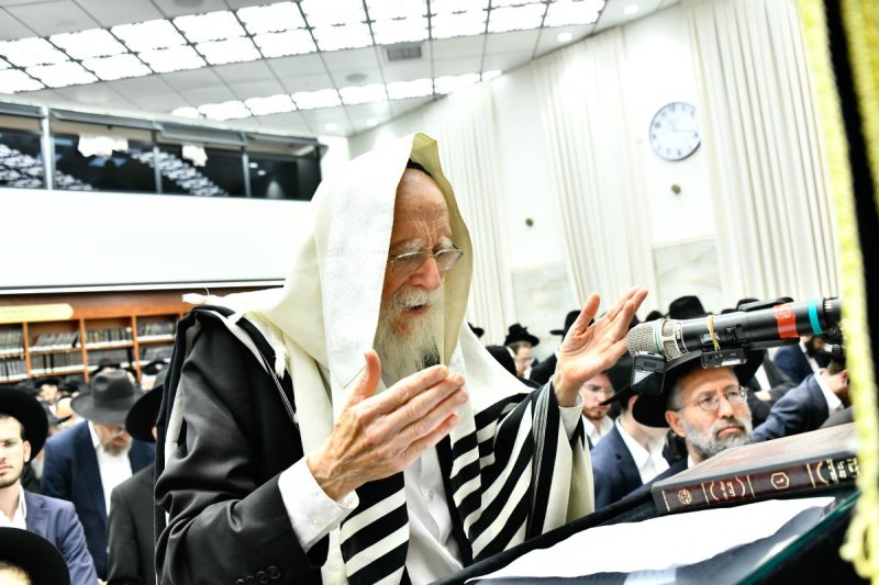 שוקי לרר