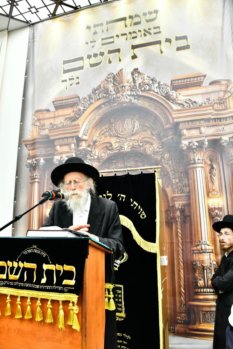 שוקי לרר