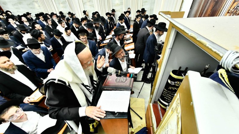 שוקי לרר