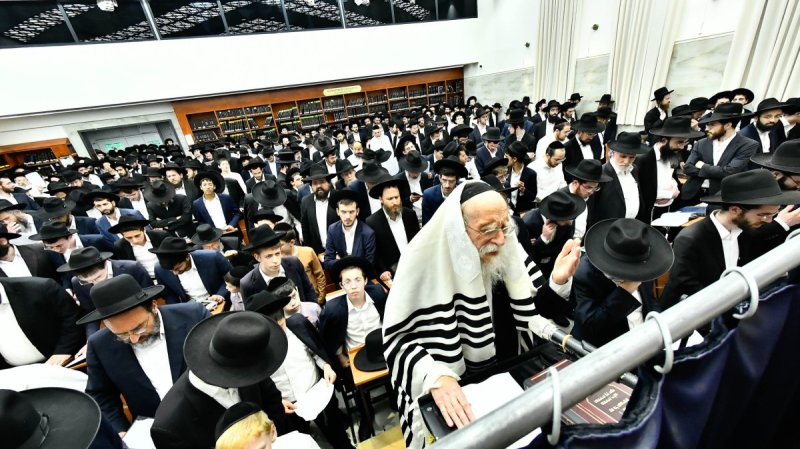 שוקי לרר