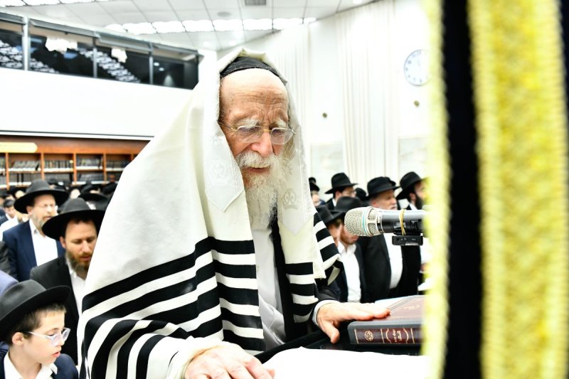 שוקי לרר
