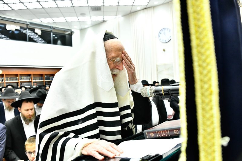 שוקי לרר