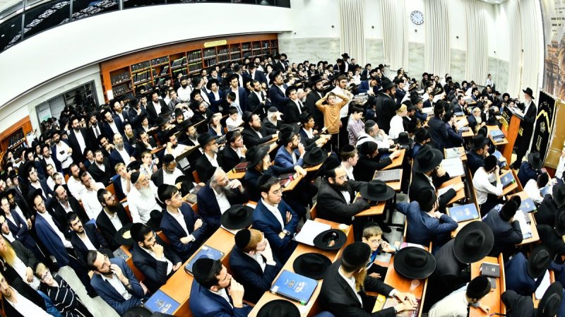 שוקי לרר