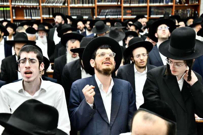 שוקי לרר