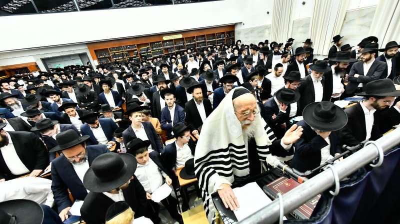 שוקי לרר