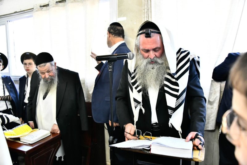 שוקי לרר