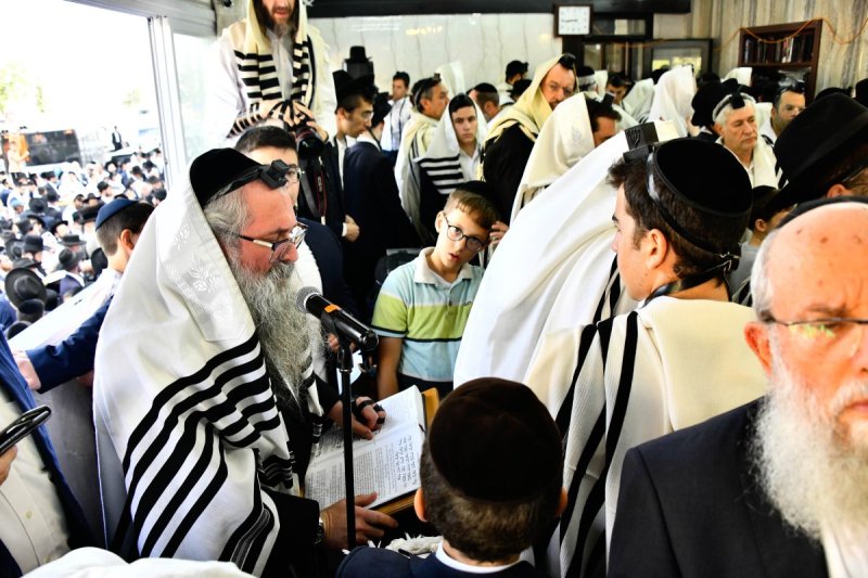 שוקי לרר