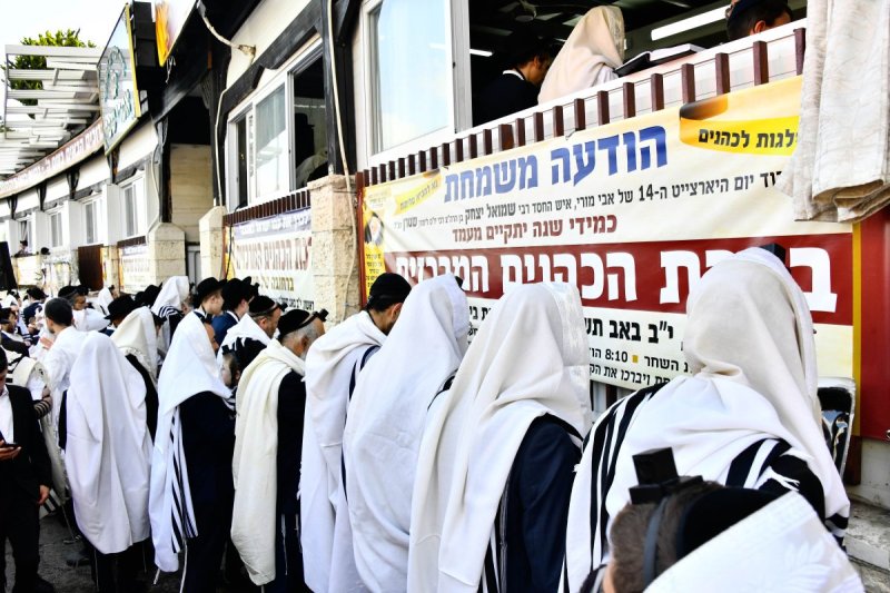 שוקי לרר