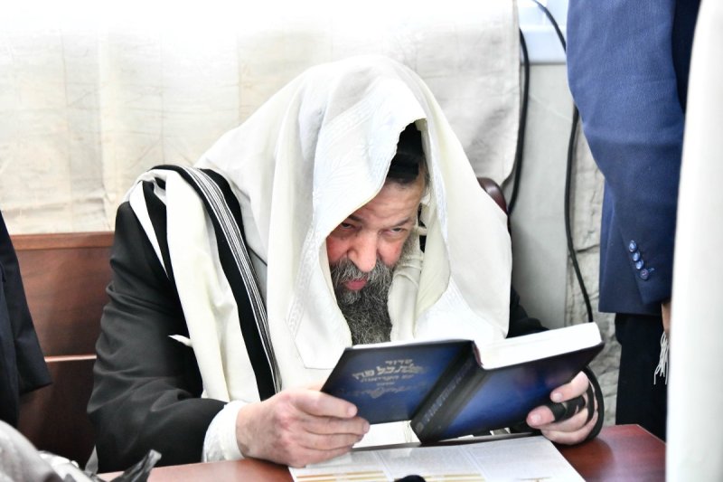 שוקי לרר