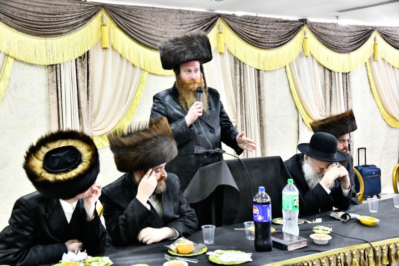 שוקי לרר