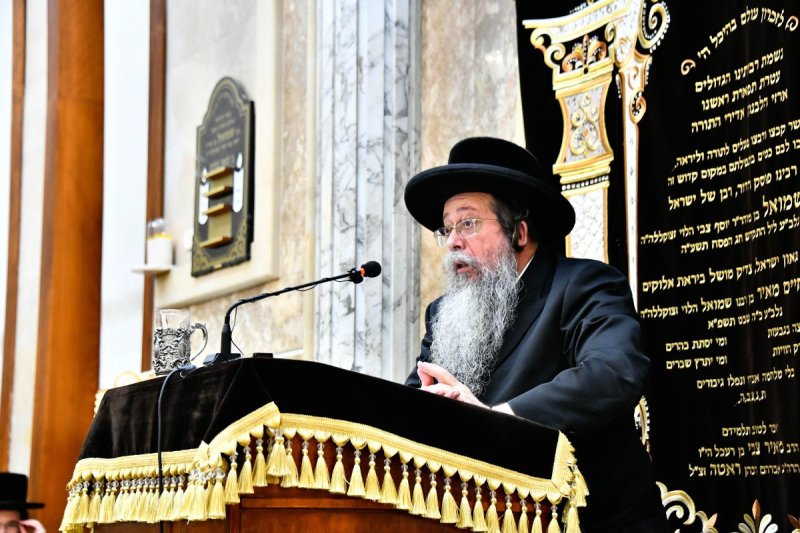 שוקי לרר