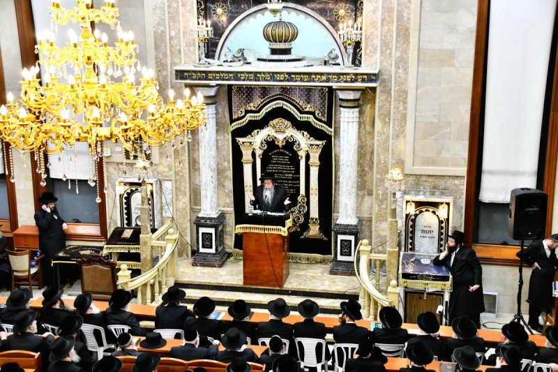 שוקי לרר