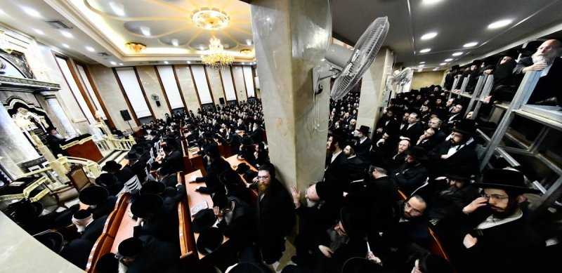 שוקי לרר