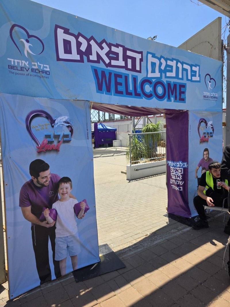 שלמה ארנשטיין