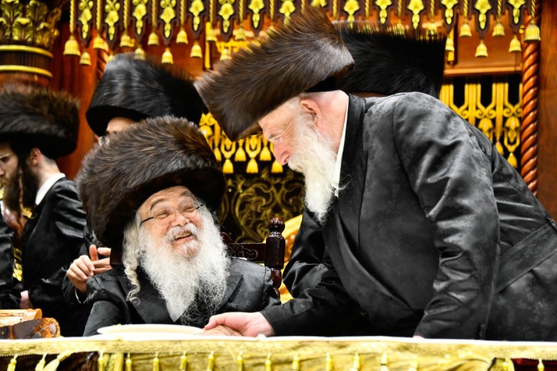 שוקי לרר