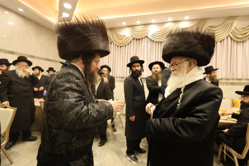 נתי אמרגי