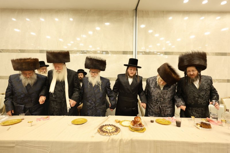 נתי אמרגי