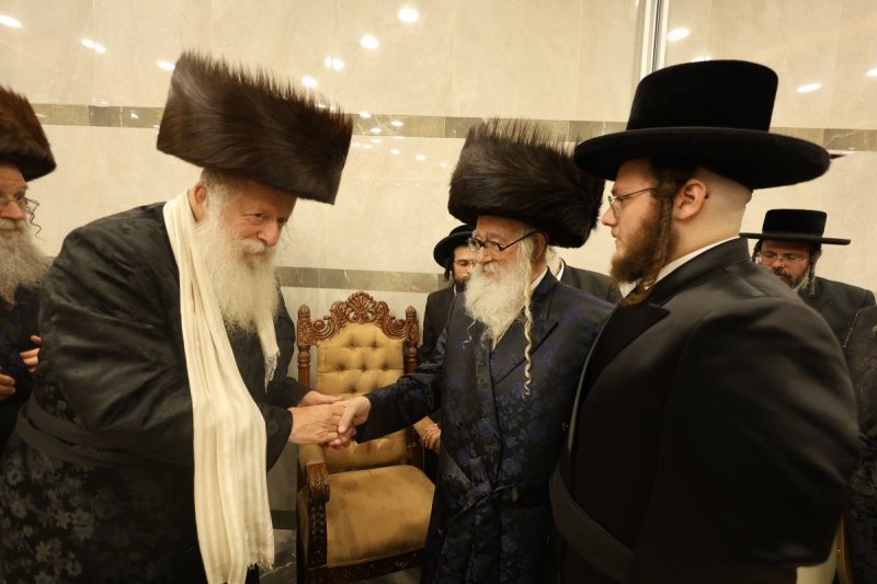נתי אמרגי