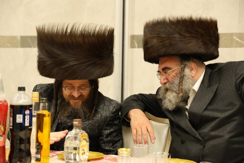 נתי אמרגי